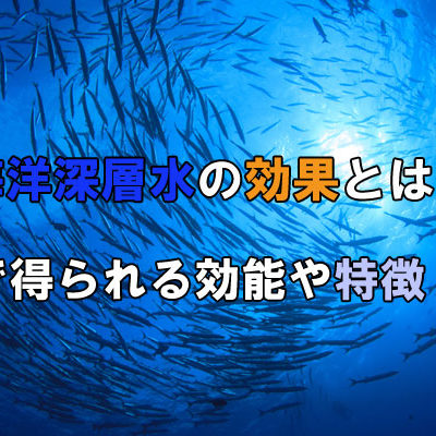 海水を飲むとどうなる？飲んではいけない理由や死亡リスクを解説 | MizuCool